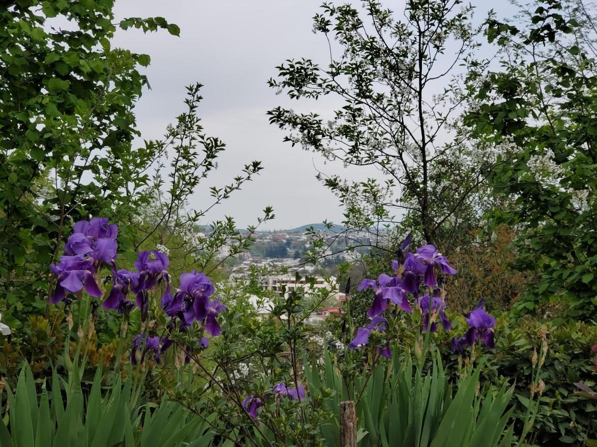 Beehives Daire Kutaisi Dış mekan fotoğraf