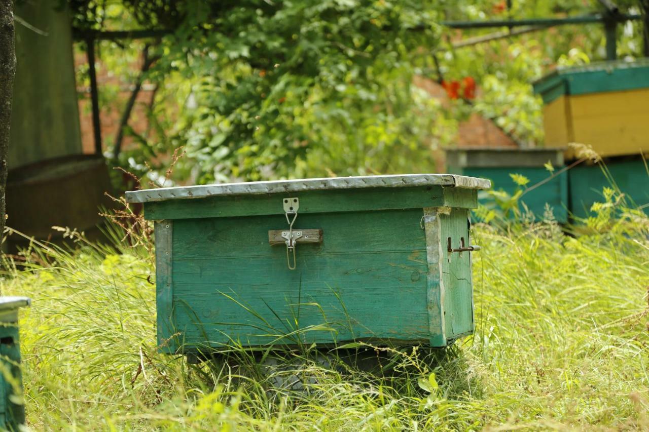 Beehives Daire Kutaisi Dış mekan fotoğraf