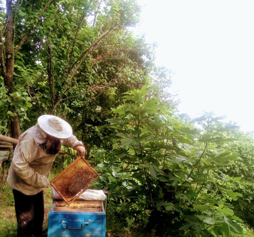 Beehives Daire Kutaisi Dış mekan fotoğraf